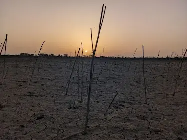 Surwal Lake